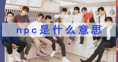 npc是什么意思「網絡用語npc梗」